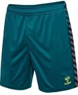 Hummel hmlAUTHENTIC PL SHORTS - BLUE CORAL - S