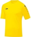 JAKO Trikot Team KA 164 Citro