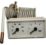Ersatzteil 7099105 Thermomanometer von BOSCH - 7099105