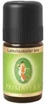 Latschenkiefer bio