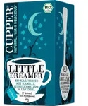 Little Dreamer