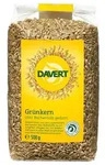 Gr&uuml;nkern
