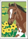 RAVENSBURGER 28463, RAVENSBURGER 28463 Malen nach Zahlen Fohlen