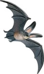 BULLYLAND 68441, BULLYLAND 68441 Fledermaus Baby