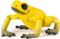 PAPO 50174, PAPO 50174 Gelber &auml;quatorial Frosch