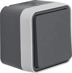 Berker Hager Vertr.mbH 50453525, Berker Hager Vertr.mbH BERKER 50453525 Aufputz