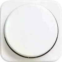 Busch-Jaeger 2CKA006599A0237, BUSCH-JAEGER 2115-214 Zentralscheibe f&uuml;r Dimmer