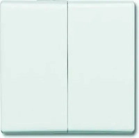 Busch-Jaeger 2CKA001731A1601, BUSCH-JAEGER 2105-34 Wippe f&uuml;r Schalter/Taster, 2-fach