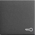 Gira 028728, GIRA 028728 Wippe mit Symbol T&uuml;r System 55 Anthrazit