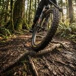 Grip Continental Magnotal Trail Grip Faltreifen ETRTO 60-622 (29 - 0 x 2 40"") -