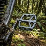 Tatze CONTACT DH Klickpedal - SPD-kompatibel mit gro&szlig;er Plattform f&uuml;r...