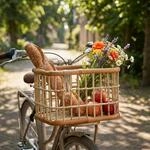 Basil Fahrradkorb Green Life Rattan L 46x35x28cm natur braun weitmaschig