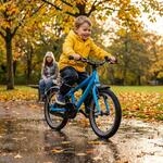 Hebie Taipan 0756E Steckblechsatz f&uuml;r 16-Zoll-Kinderfahrr&auml;der, 55 mm breit,