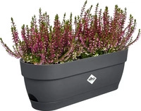 Elho 3741705042500, elho Balkonkasten vibia campana, 50 cm - anthrazit