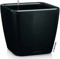 Lechuza 16149, Lechuza Pflanzgef&auml;&szlig; QUADRO Premium LS 28 - Schwarz hochglanz