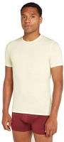 Icebreaker - Anatomica Unterhemd Herren undyed 245643_1270