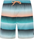 Protest - Radar Badeshorts Herren arcticgreen gr&uuml;n