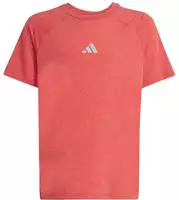 adidas - All Sports Favorite T-Shirt Kinder dusky petrol 248629_1280