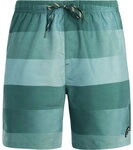 Protest - Lomond Badeshorts Herren dark teal 253193_1292