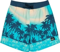 Quiksilver - EVD Printed Badeshorts Jungen aqua thermotropics blau