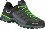 SALEWA - MTN Trainer Lite GORE-TEX&reg; Wanderhalbschuhe Herren myrtle 190476_1303