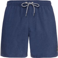 Protest - Davey Badeshorts Herren ground blue 186984_1260