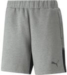Puma teamCUP Casuals Herren Shorts, grau 4065453317170