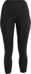 Icebreaker 0A56EW_IB001, Icebreaker Fastray High Rise Damen Tights, schwarz female