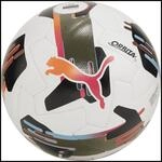 Puma Orbita 1 TB (Fifa Quality Pro) Outdoor-Fu&szlig;ball, wei&szlig;, Gr. 5 4067981504138