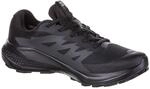 Salomon Alphaglide GTX Herren Laufschuhe, schwarz, Gr. 42 ⅔ 0195751906142