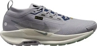 Nike FQ0908_006, Nike Pegasus Trail 5 GTX Waterproof Trail Herren Laufschuhe, grau,