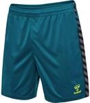 Hummel Authentic PL Herren Shorts, blau 5700499369675