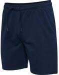 Hummel Active Co Herren Shorts, blau 5715454288168