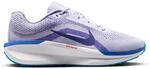 Nike Winflo 11 Road Herren Laufschuhe, grau, Gr&ouml;&szlig;e 41 197863014418