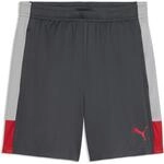 Puma Individualliga Training Herren Shorts, grau 4069162233271