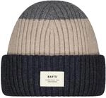 Barts Rylan Kinder Hut, grau 8717457996399