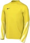 Nike Dri-Fit Park V Goalkeeper Kinder T-Shirt, gelb 198488894492