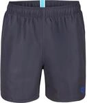 Arena Fundamentals R Herren Badehose, grau 3468337733591