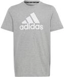 Adidas Essentials Big Logo Cotton T-Shirt Kinder T-Shirt, grau 4066752810423