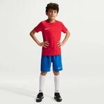 Nike Dri-Fit Park VIII Kinder T-Shirt, rot 198488403809