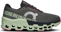 On 3WE1011_2541, On Cloudmonster 2 Damen Laufschuhe, grau, Gr. 42 &frac12; female