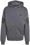 Adidas Future Icons 3-Streifen Herren Kapuzensweater, grau, Gr. XXL 4068815388979
