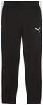 Puma IndividualLIGA Training Herren Sporthose, schwarz, Gr. S 4069157259545
