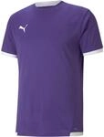 Puma TeamLIGA Herren Trikot, lila 4063699158168
