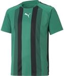 Puma TeamLIGA Striped Kinder T-Shirt, gr&uuml;n 4063699289282