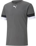 Puma TeamRISE Herren Trikot, grau 4063699213287