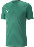Puma TeamGLORY Herren Trikot, gr&uuml;n 4064535840896
