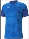 Puma teamCUP Training Herren T-Shirt, blau, Gr. L 4065453658815