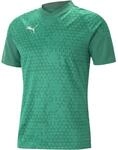 Puma teamCUP Training Herren T-Shirt, gr&uuml;n 4065453658938