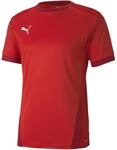 Puma TeamGOAL 23 Herren Trikot, rot 4062451207939